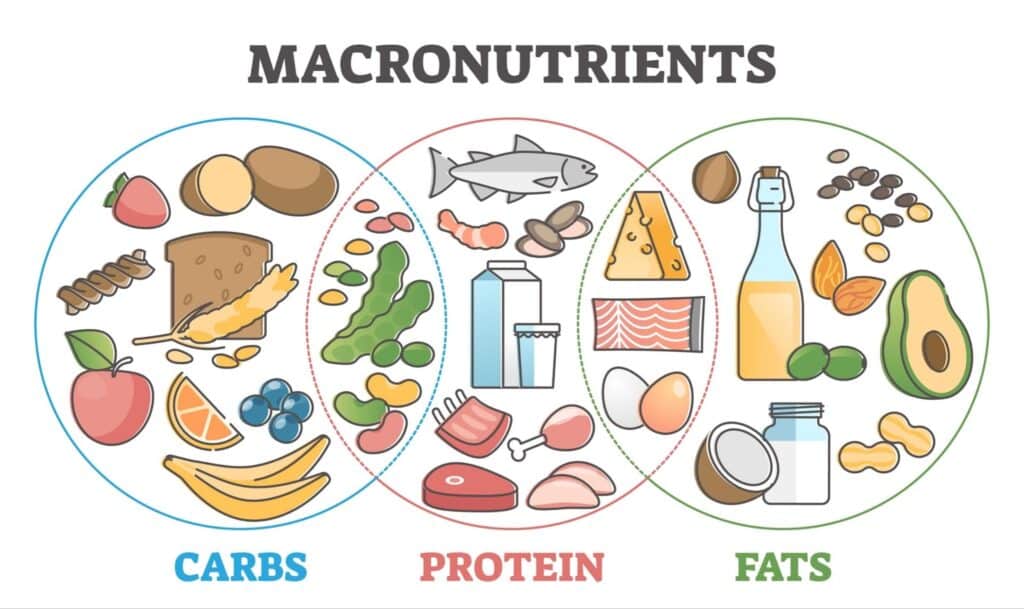 Fuel Your Performance: Top Sports Nutrition Tips for Teen Athletes - Mineral-Rich Foods for Teen Athletes