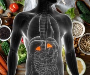 3D anatomical illustration of adrenal glands highlighted in orange overlaid on a flat lay of nutrient-dense foods including salmon, broccoli, avocado, nuts, and legumes representing the connection between adrenal fatigue and diet
